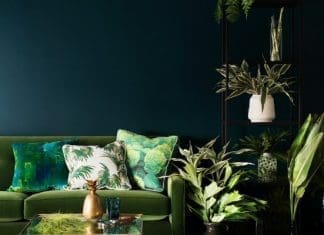 Haymes colour forecast