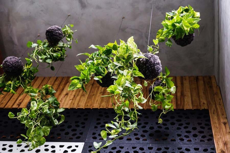 Hanging planter