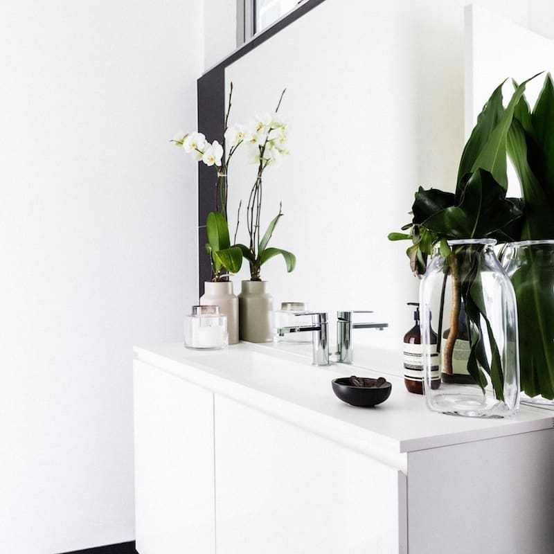 Max and Karstan powder room