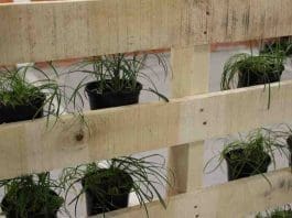 Simple vertical garden