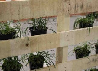 Simple vertical garden