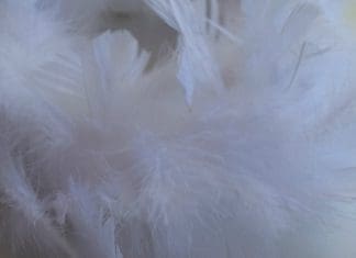 Close up of DIY feather wreath