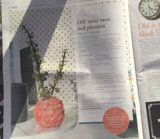 Moss ball DIY feature