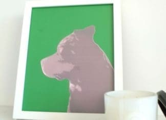 Pet portrait feature