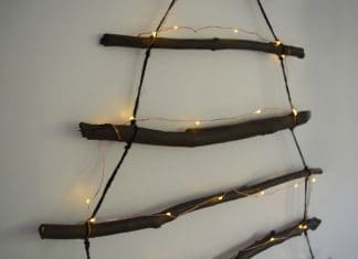 Close up of tree