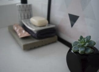 Succulent