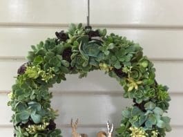 Christmas wreath