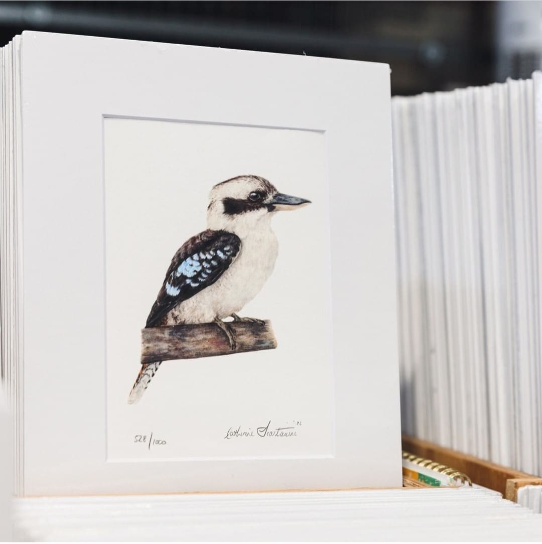 Fremantle markets _ art