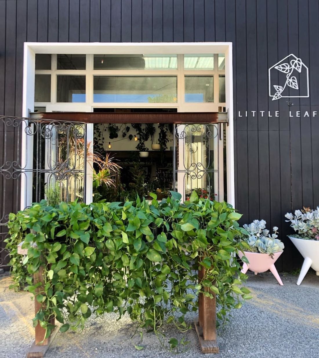 Little Leaf Co