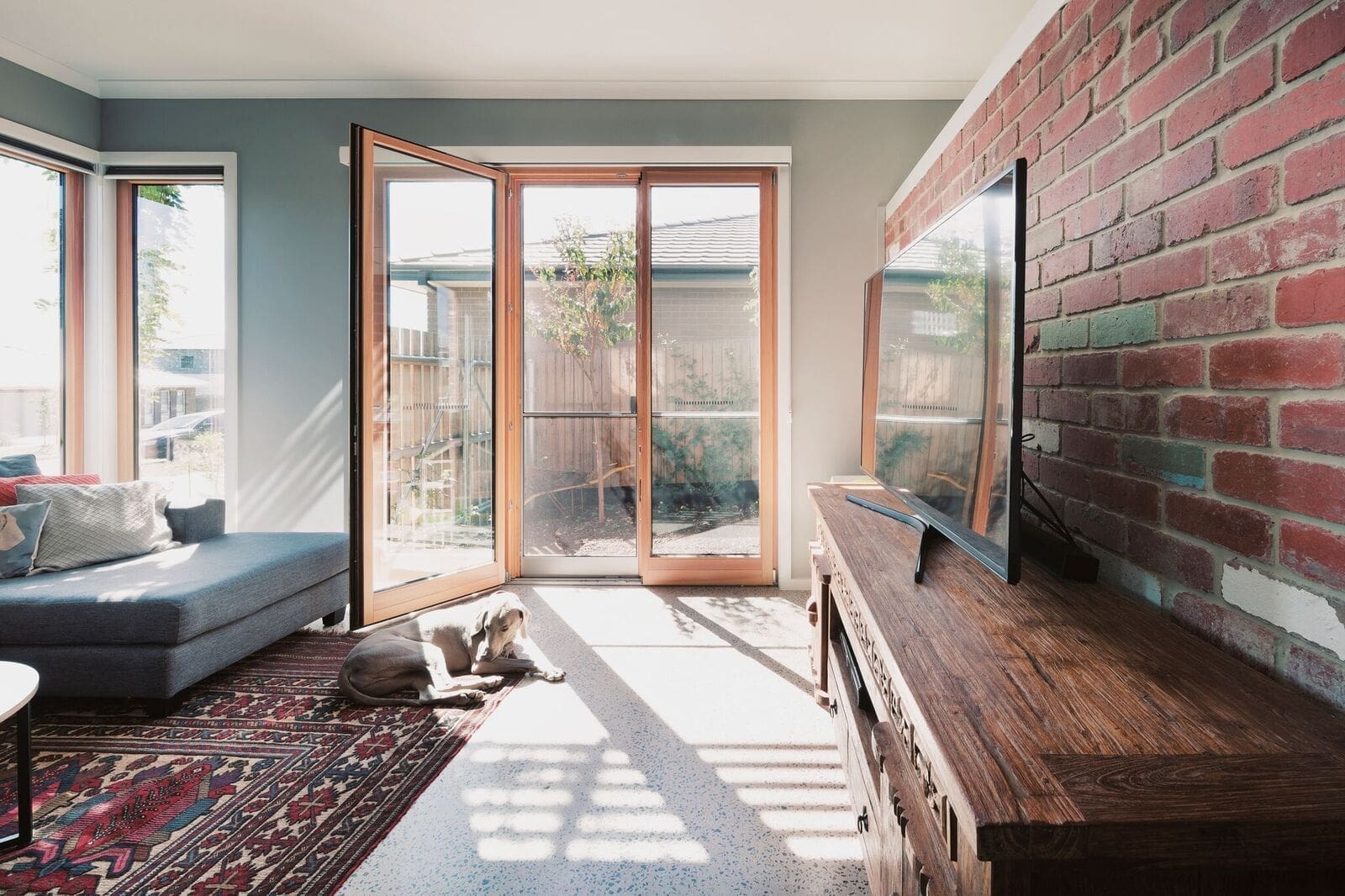Homely living room with polished concrete floors