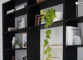 Indoor plant in ceramic pot
