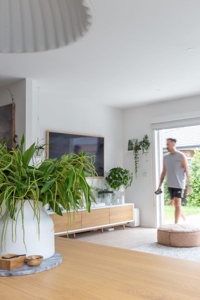 Plant shelf in living room