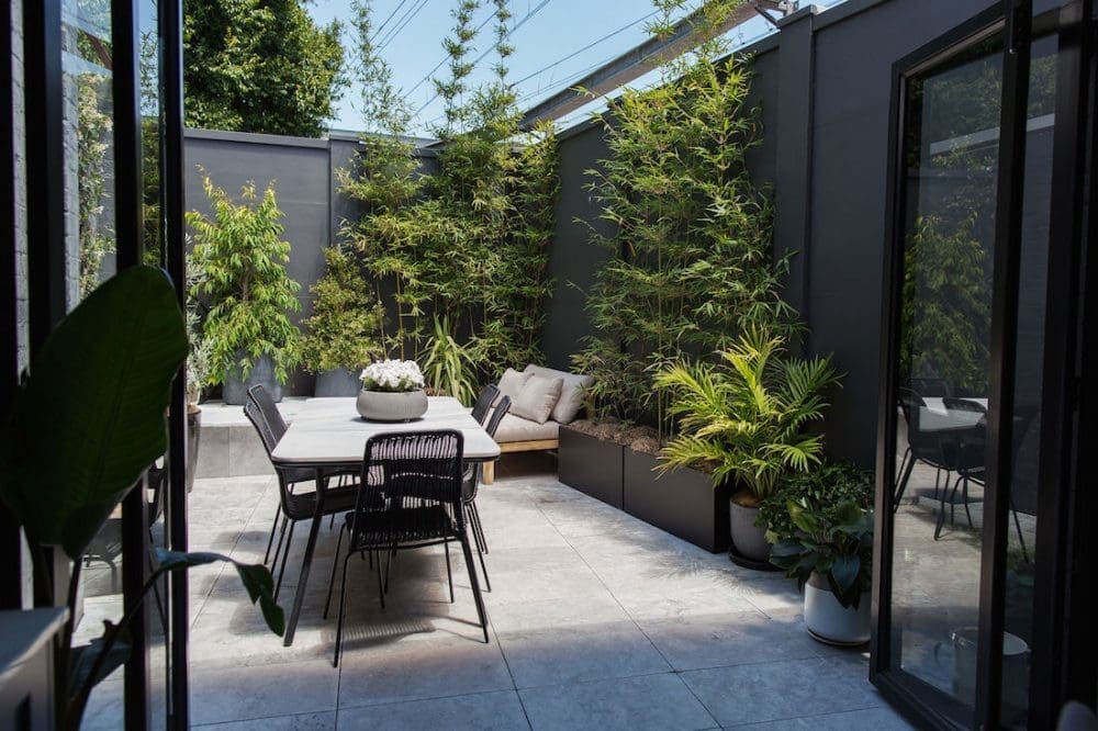 Erskineville courtyard_view from inside out