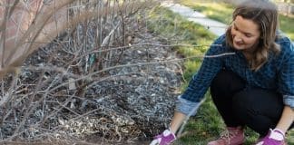 Gina_garden_for winter