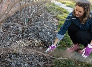Gina_garden_for winter