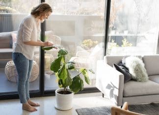 Keeping plants alive in winter