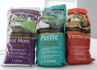 Create a potting mix plants will love