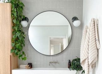 Devils ivy in bathroom