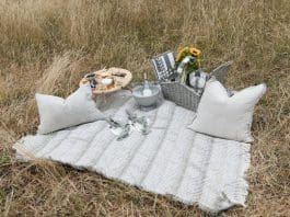 Large picnic rug