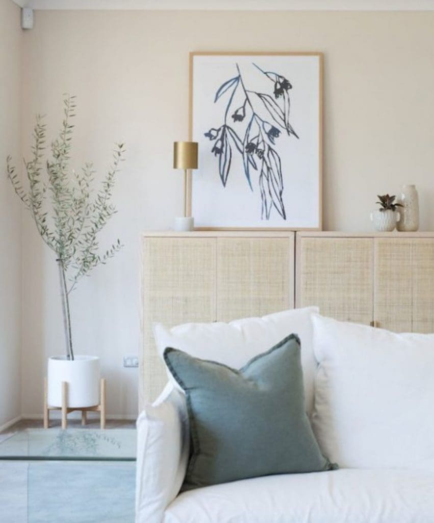 Olive tree in living room
