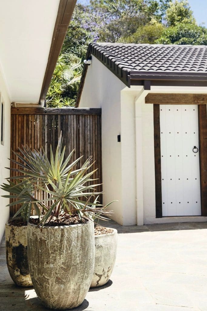 Cluster of large pot plants outside home