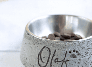 DIY dog bowl