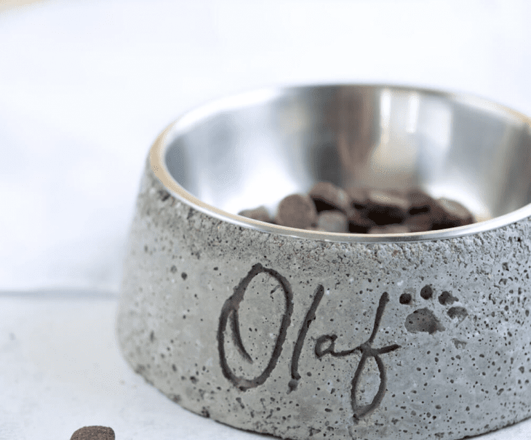 DIY dog bowl