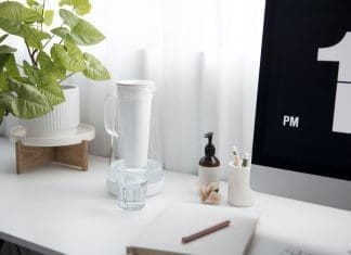 Plants in office