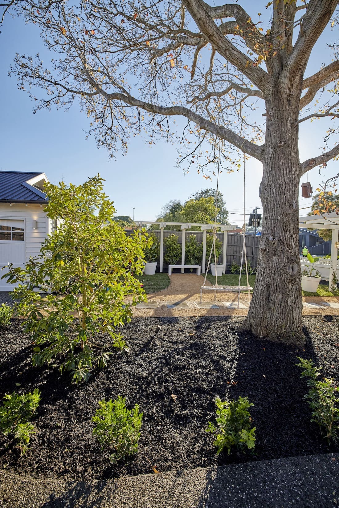 Mature tree in landscaped gardens