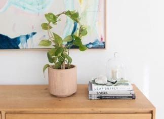 Plant trellis DIY project
