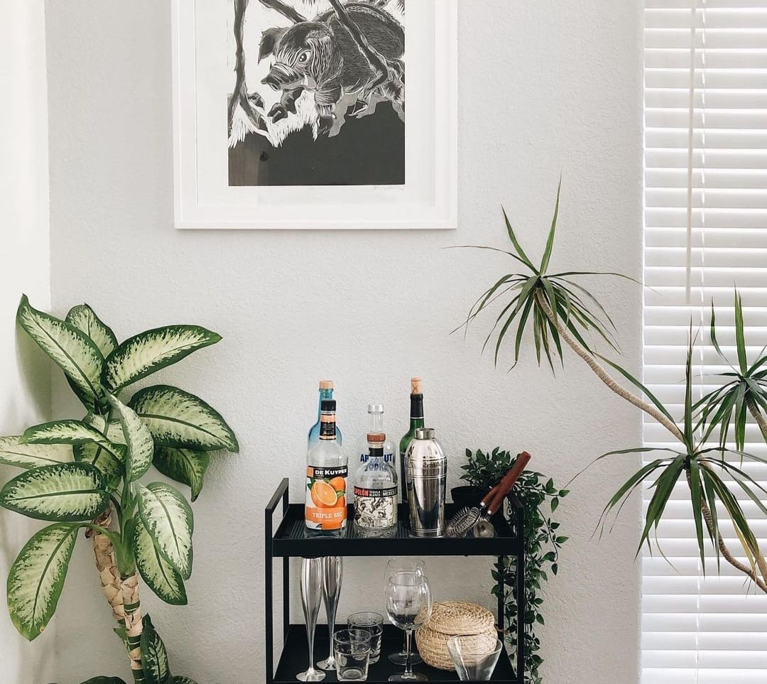 Bar cart corner styling with plant _ styling an empty corner