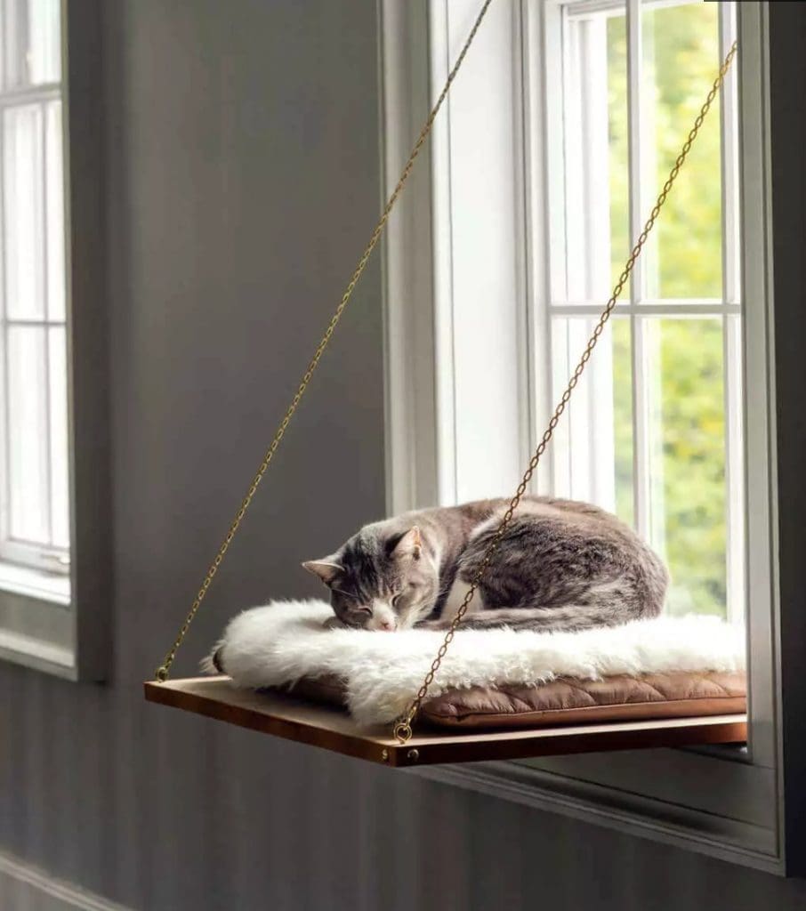 Cat shelf DIY project