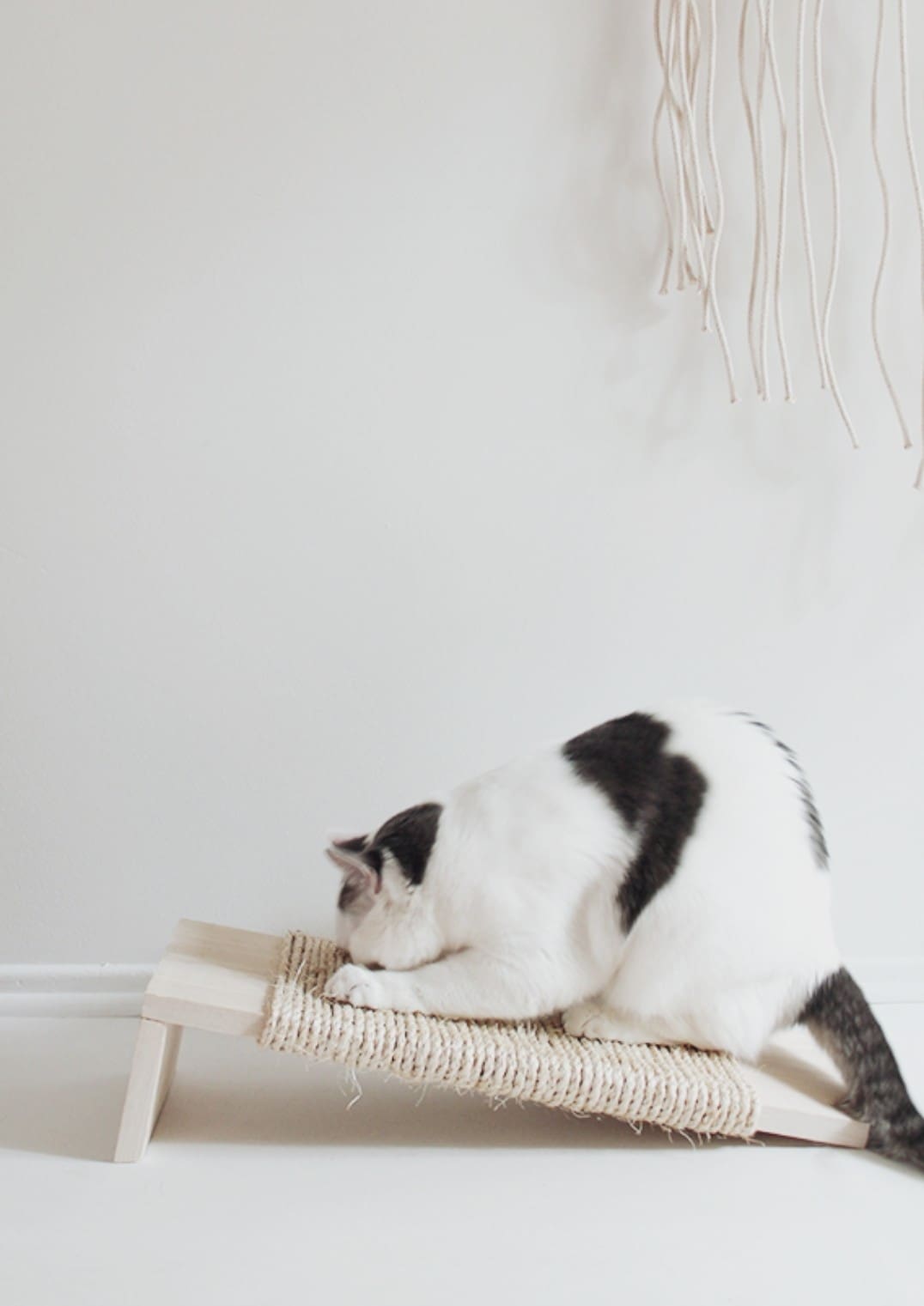 Cat scratching post