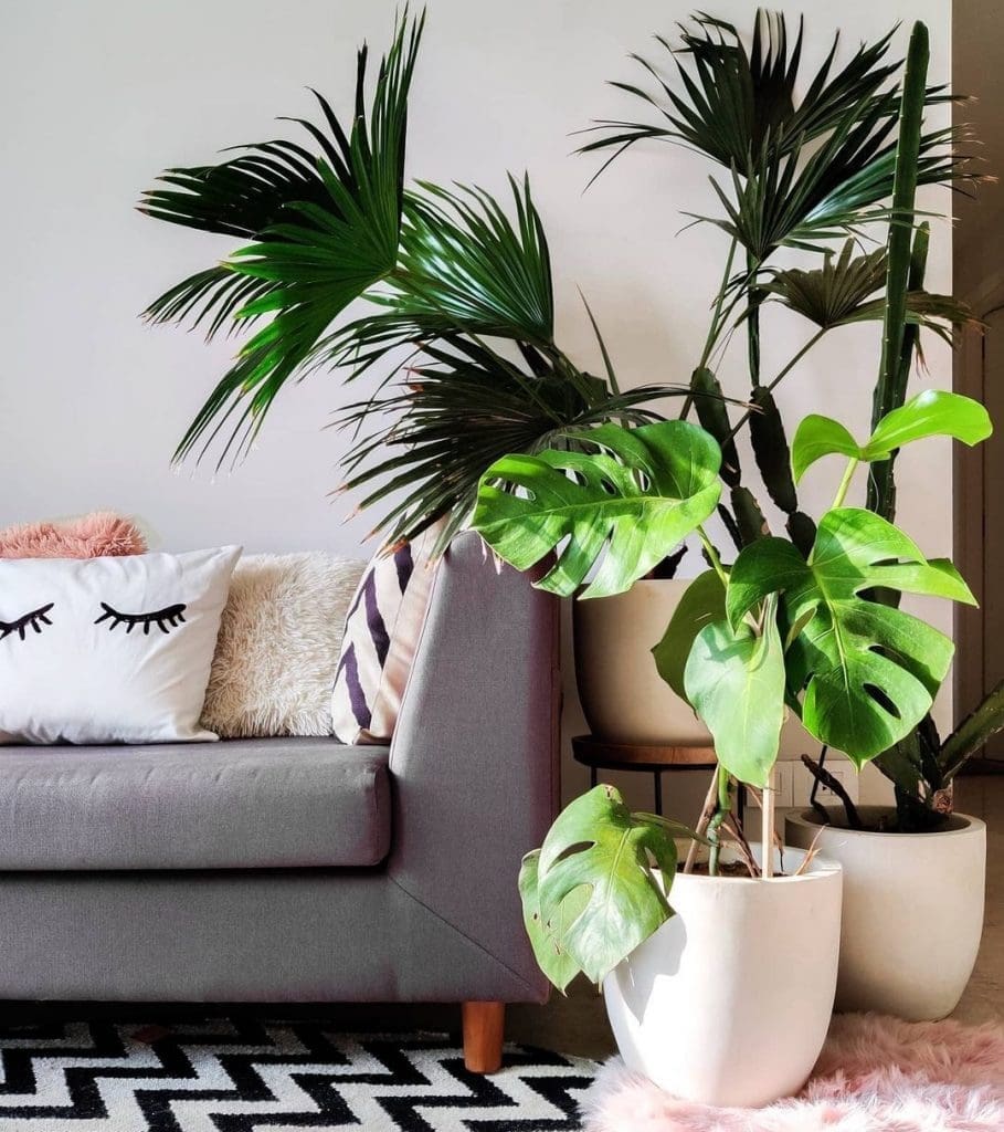Plant corner styling