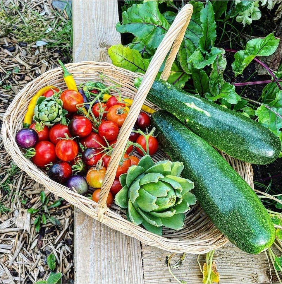 Autumn veggies homegrown