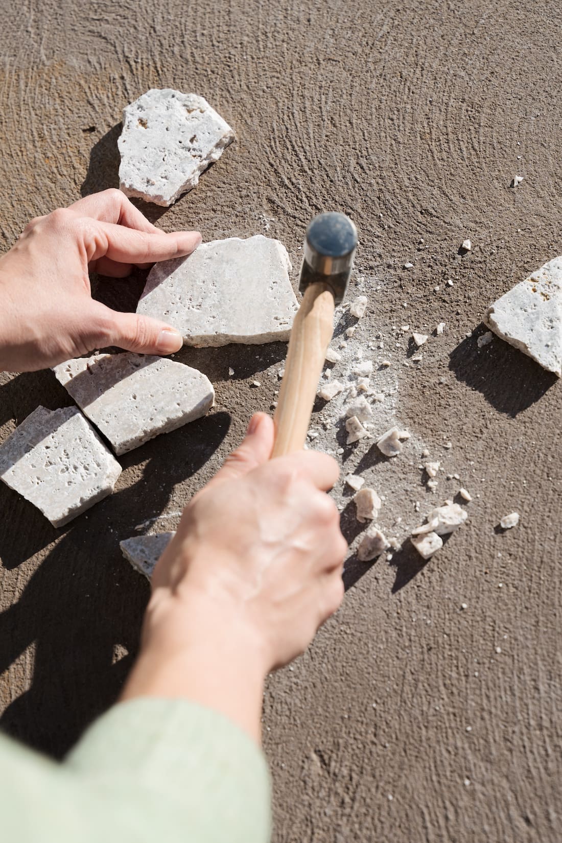 smash travertine tile_plant propagation