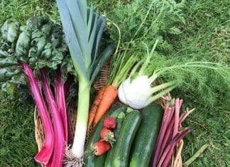 Freshly grown spring vegetables and fruit