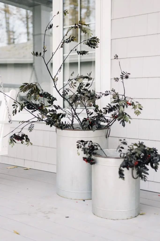outdoor plant styling