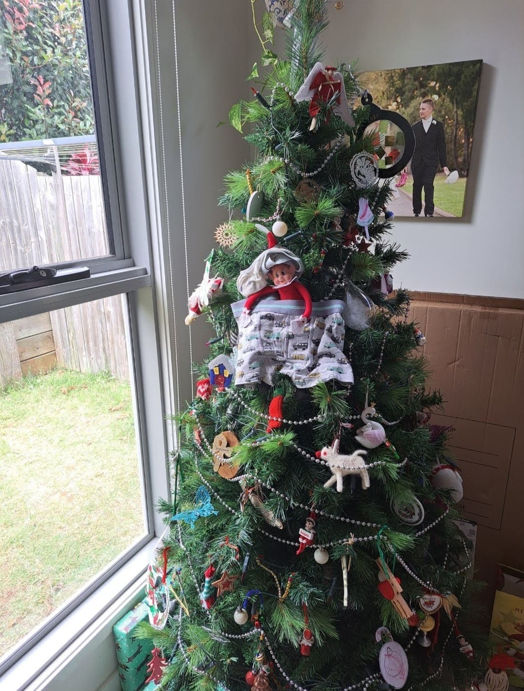 Elf on the shelf wearing undies on Christmas tree