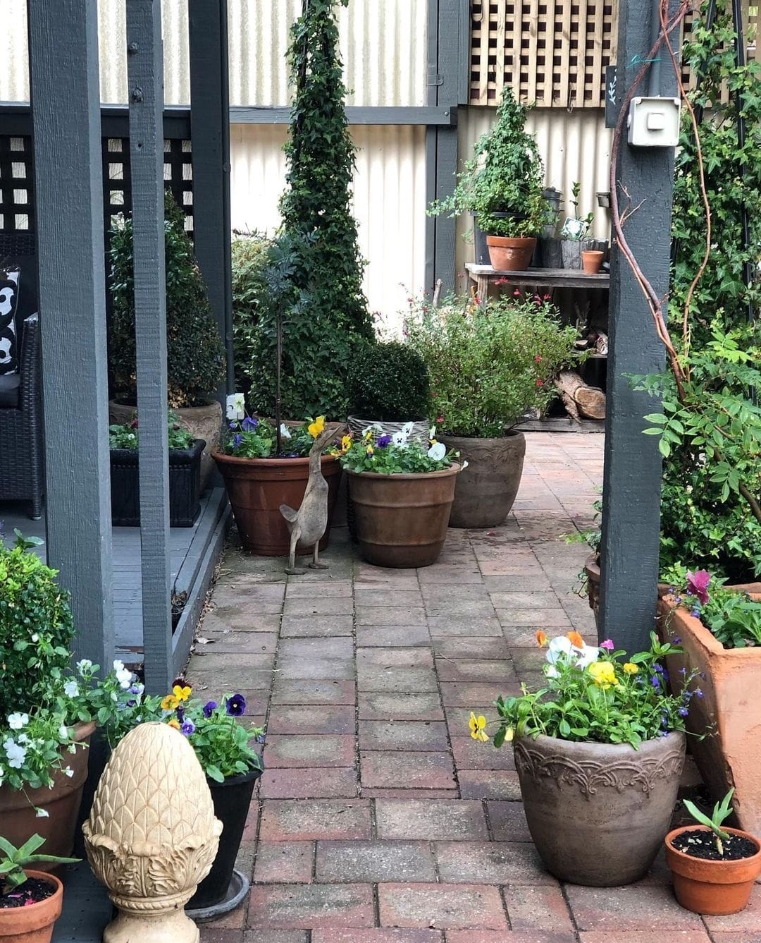 Patio garden with pot plants