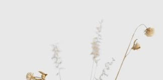 minimalist decor_ikebana vase