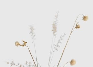 minimalist decor_ikebana vase