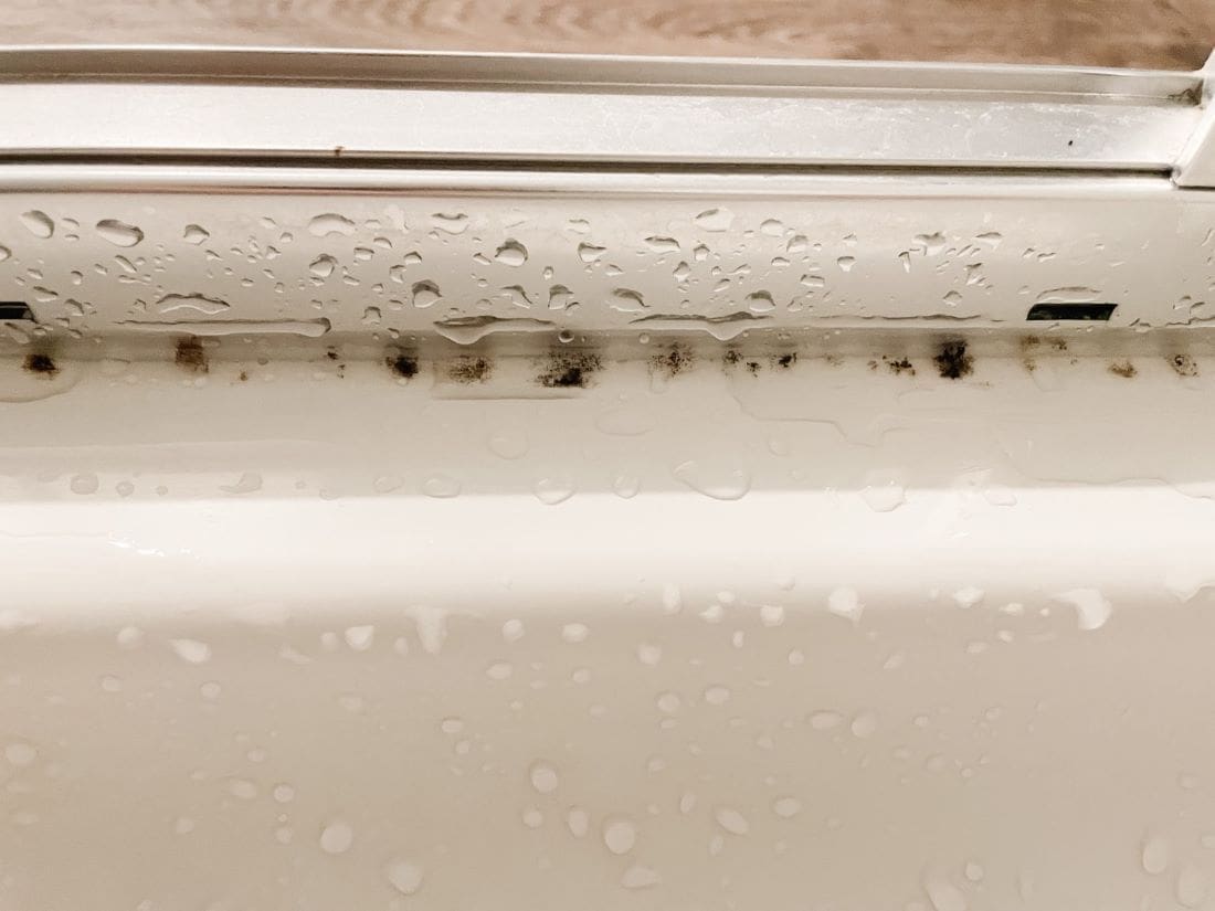 shower cleaning hack