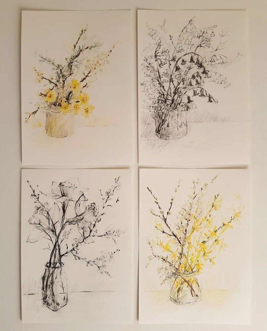 Watercolour drawings of florals