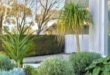 How to plan your dream garden (and avoid costly mistakes!) using smart visualisation tools Round stepping stone steps in landscaped garden