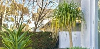 Garden design ideas: How to plan your dream garden using smart visualisation tools Round stepping stone steps in landscaped garden