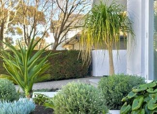 Garden design ideas: How to plan your dream garden using smart visualisation tools Round stepping stone steps in landscaped garden