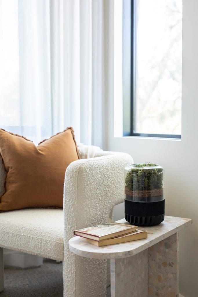 Most stylish air purifier