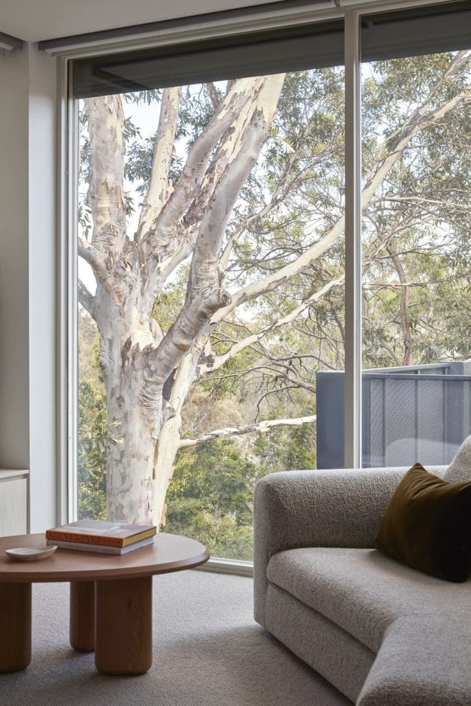 Large trees in garden view from living room