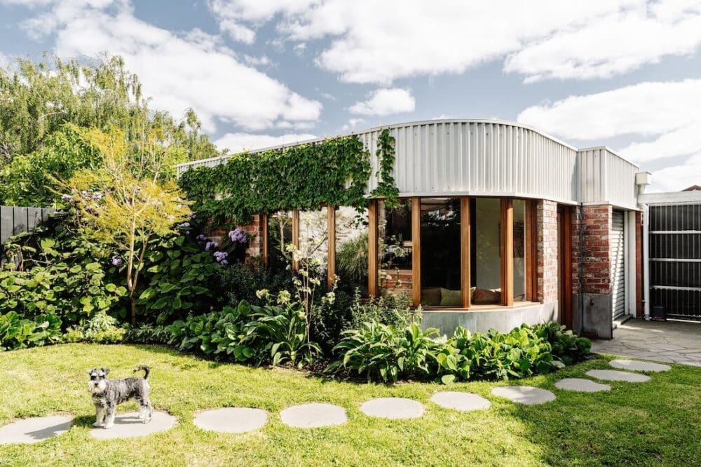 Curved exterior of granny flat at Chatterbox House